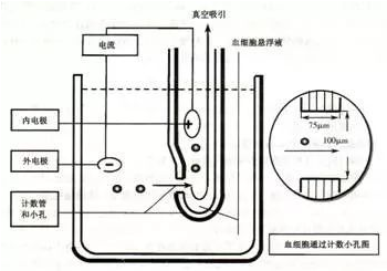 【兆恒機(jī)械】血液分析儀的檢測原理及臨床應(yīng)用